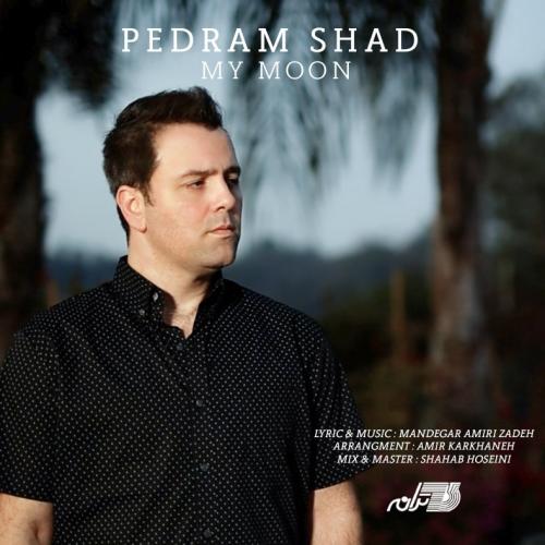 دانلود آهنگ ماه من پدرام شاد